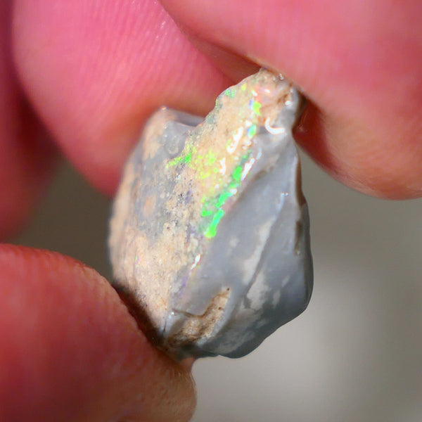 Lightning Ridge Rough Opal 8cts Dark Base Gamble Seam Showing Gem Bright Multifires bar 18x14x6mm WAE18