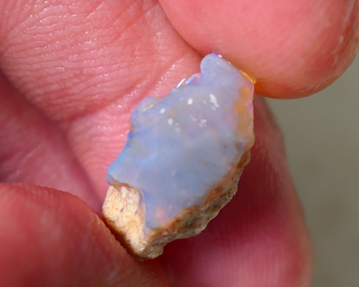 Lightning Ridge Rough Opal 4.75cts Piece of a Dark Crystal Base Pea Knobby showing nice Bright colours 17x8x6mm 0914