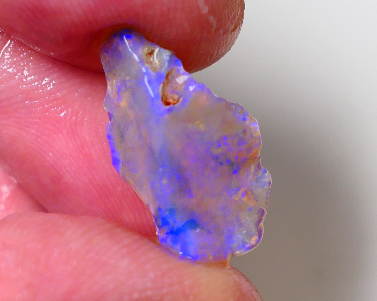 Lightning Ridge Rough Opal 6.2cts Crystal Knobby Piece showing nice  Bright Blue colours 20x12x6mm 0669