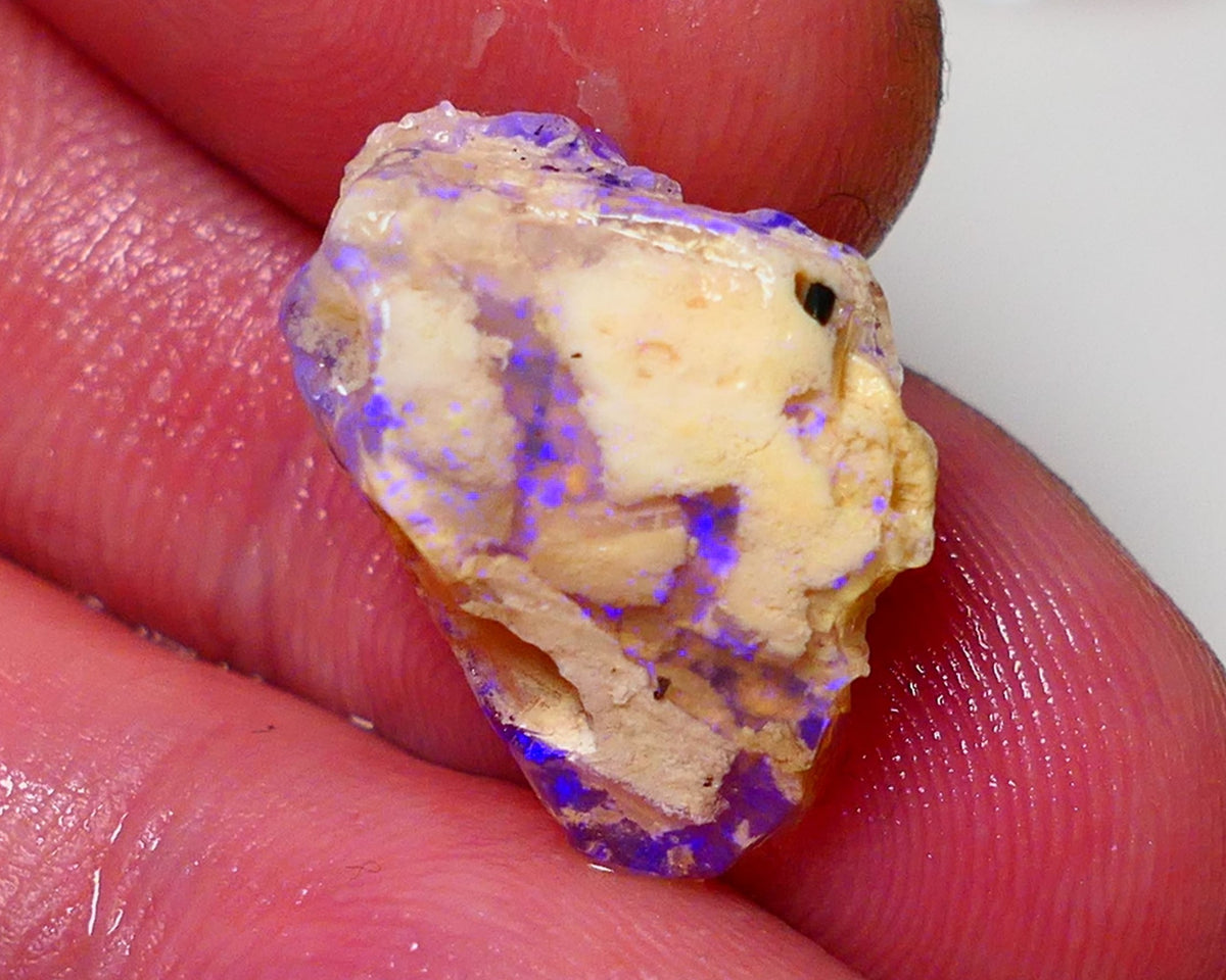 Lightning Ridge Opal Rough nice Opalised Wood Fossil 6cts Bright Blue Colours 2012x7mm 0704