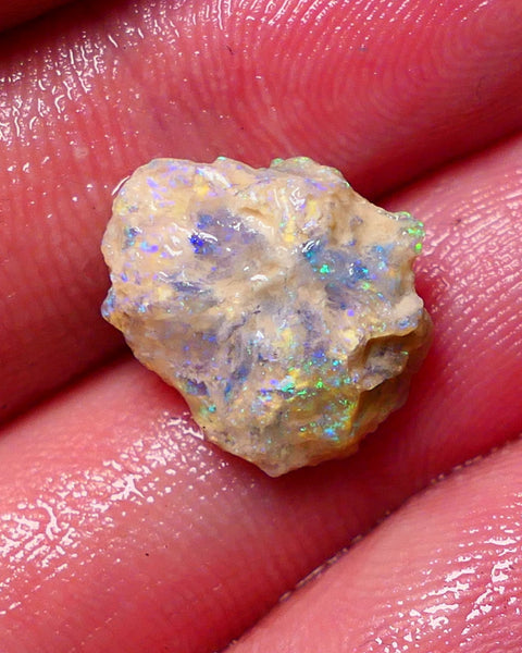 Lightning Ridge Rough Opal 4.25cts Crystal Witches hat Knobby showing nice Bright Multicolours 15x13x5mm 0712