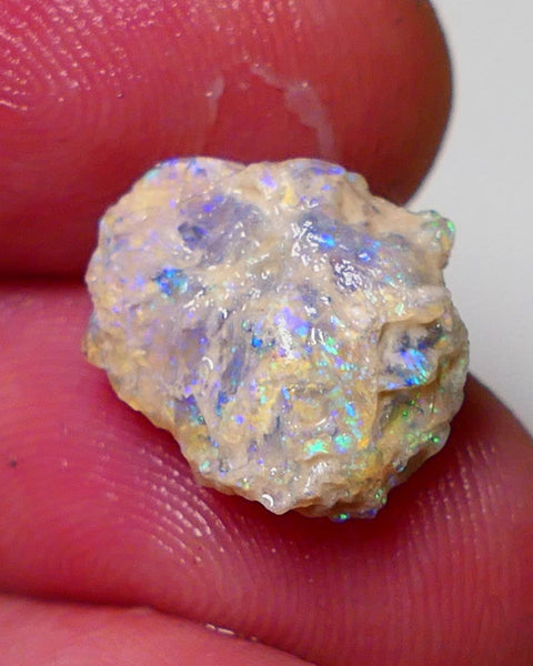 Lightning Ridge Rough Opal 4.25cts Crystal Witches hat Knobby showing nice Bright Multicolours 15x13x5mm 0712