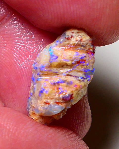 Lightning Ridge Rough Opal 7.25cts Crystal Pea Knobby formation showing nice  Bright Blue colours 20x10x9mm 0709