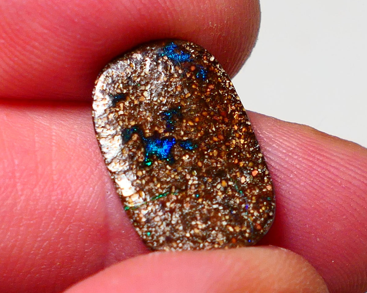 Winton Boulder Opal Gemstone 5.7cts Face showing Bits of Blue Fires only 18x11x3mm 0925