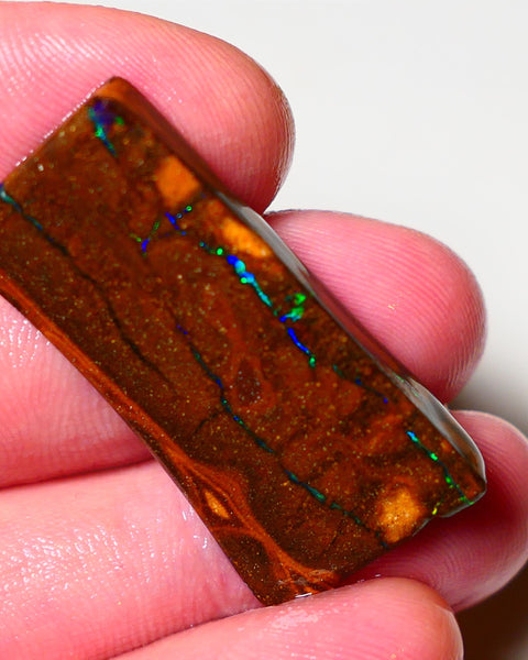 Queensland Boulder Matrix opal 31cts rough Winton  Bright colours in veins 38x18x5mm 0720