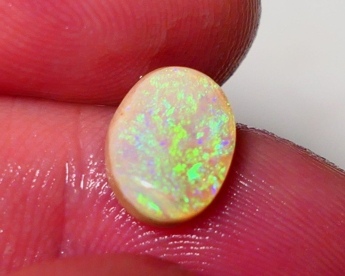 Opal Fever Mate Auction