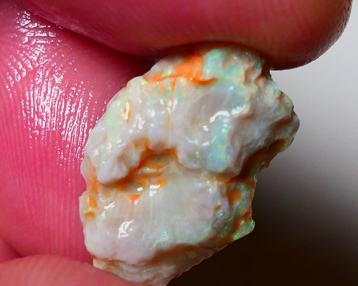 Lightning Ridge Rough Opal 8.25cts Crystal Untouched Knobby showing nice  Bright Multicolours 20x13x6mm 0805