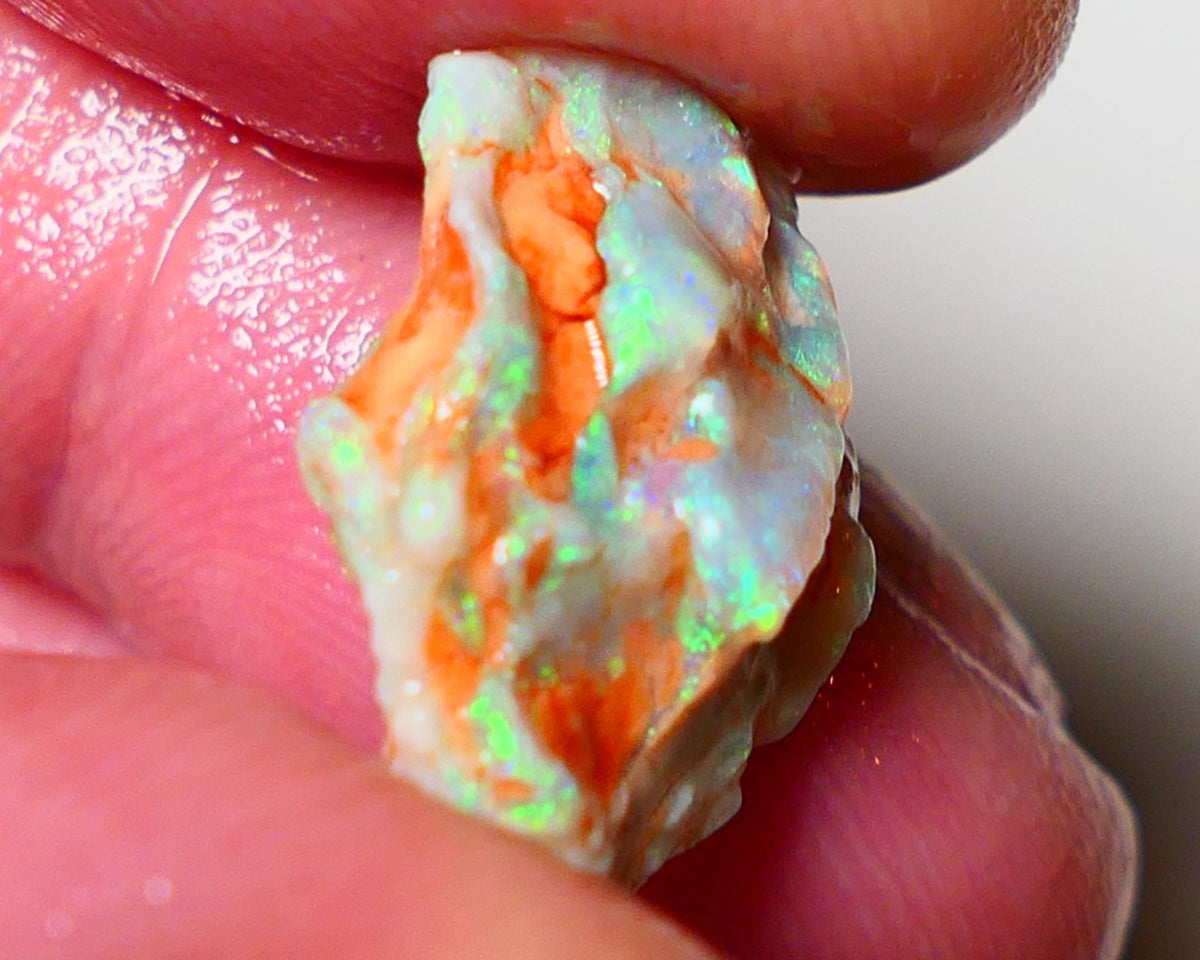 Lightning Ridge Rough Opal 8.25cts Crystal Untouched Knobby showing nice  Bright Multicolours 20x13x6mm 0805