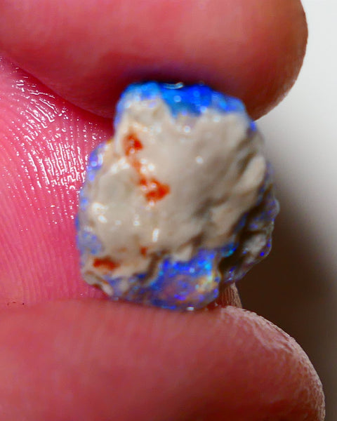Lightning Ridge Rough Opal 3.5cts Dark Crystal Base Pea Knobby showing nice Bright colours 13x11x4mm 0815 AUCTION