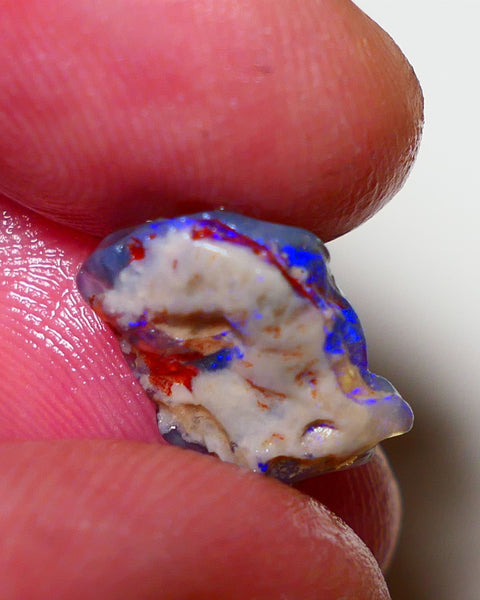 Lightning Ridge Rough Opal 3.5cts Dark Crystal Base Pea Knobby showing nice Bright colours 13x9x4mm 0816 AUCITON