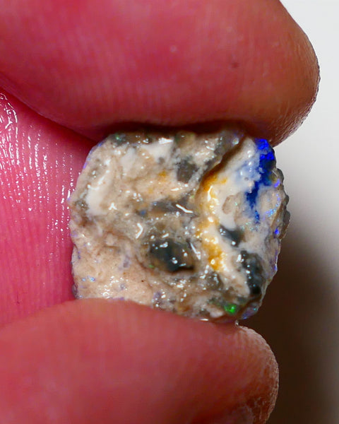 Lightning Ridge Rough Opal 4.4cts Dark Crystal Base Pea Knobby showing nice Bright colours 15x13x5mm 0817 AUCITON
