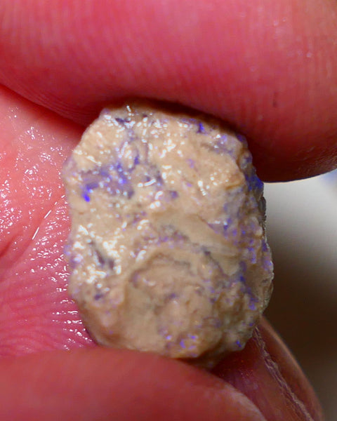 Lightning Ridge Rough Opal 4.75cts Crystal Witches hat Knobby showing nice Bright Multicolours 15x12x5mm 0818 AUCTION