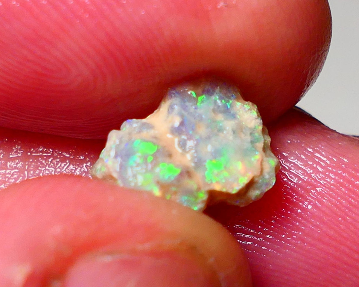 Lightning Ridge Rough Opal 2.00cts Dark Crystal Base Pea Knobby showing nice Bright Multi colours 10x8x5mm 0919