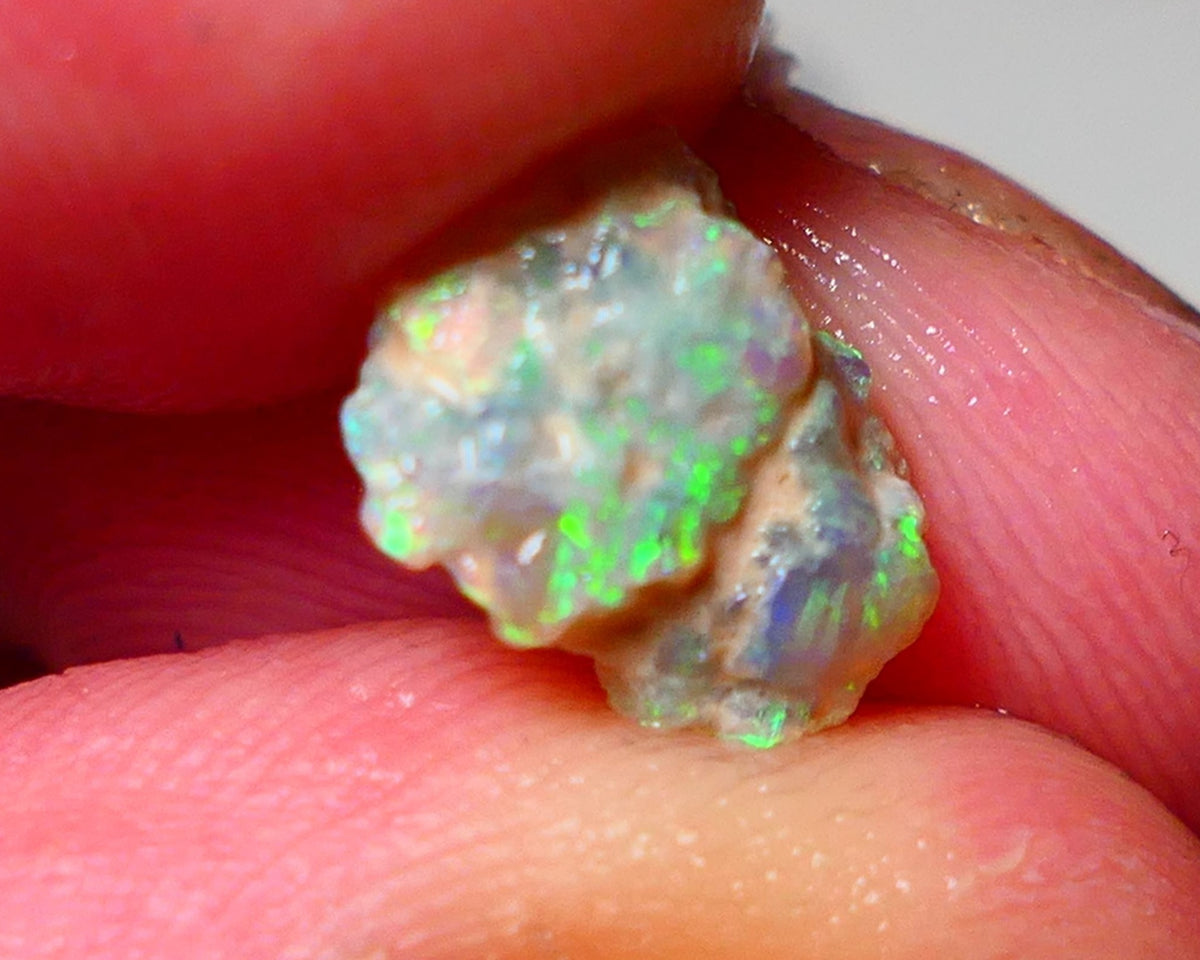 Lightning Ridge Rough Opal 2.00cts Dark Crystal Base Pea Knobby showing nice Bright Multi colours 10x8x5mm 0919