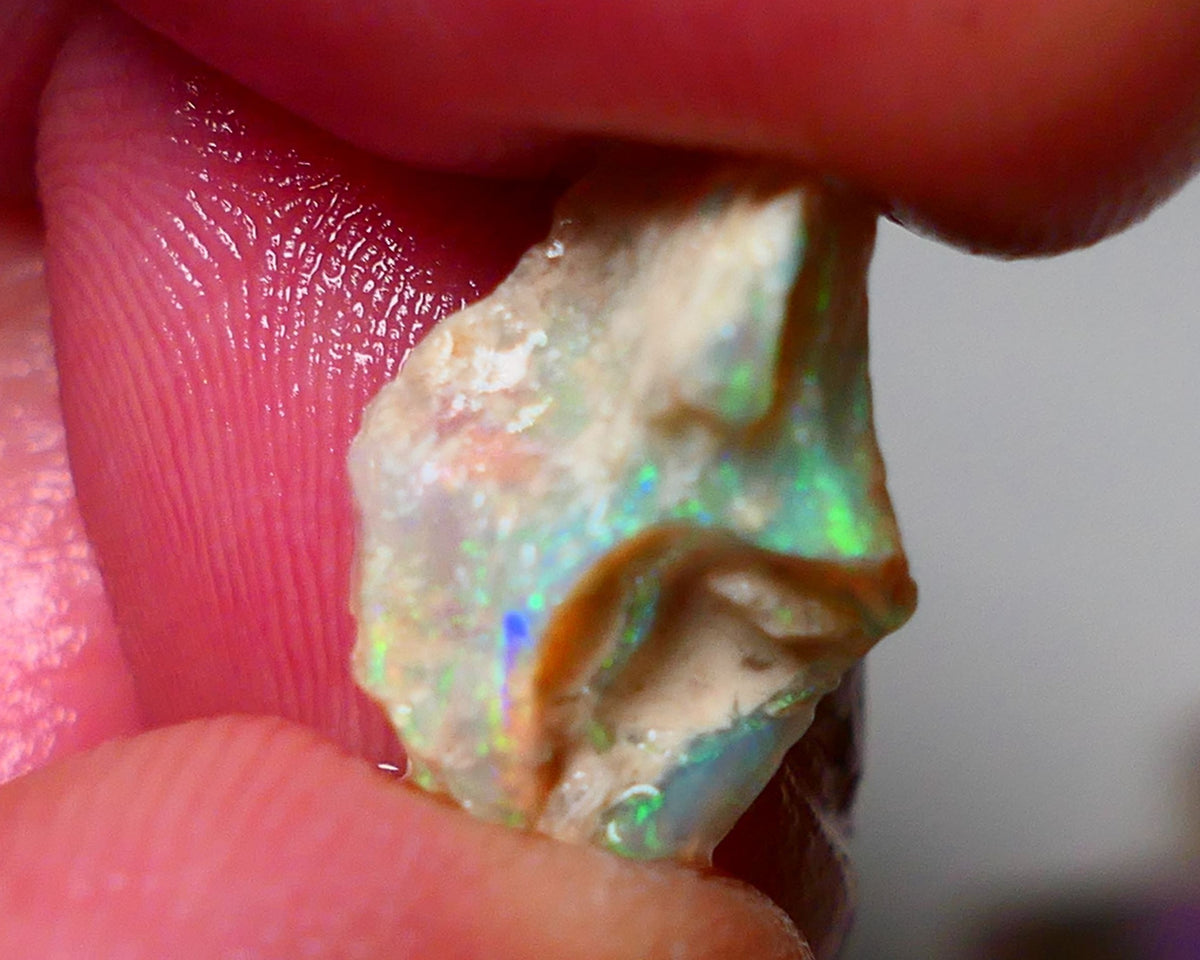 Lightning Ridge Opal Rough nice Opalised Wood Fossil 4.50cts Nice Multi Colours 15x10x8mm 0923