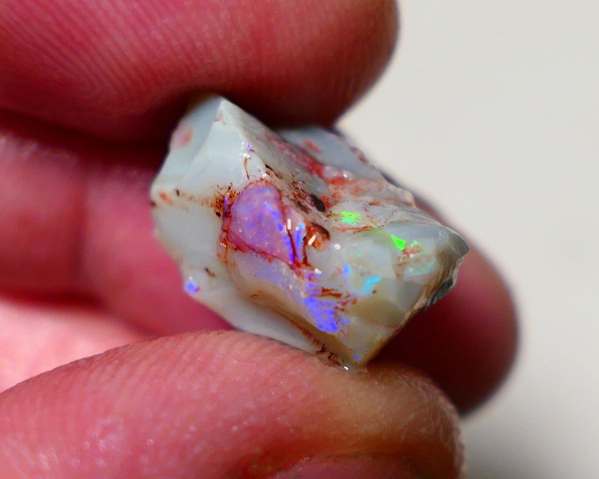 Lightning Ridge Rough Opal 12cts Grey base Seam opal with Bright colourful bar showing multicolours 19x11x10mm A1519