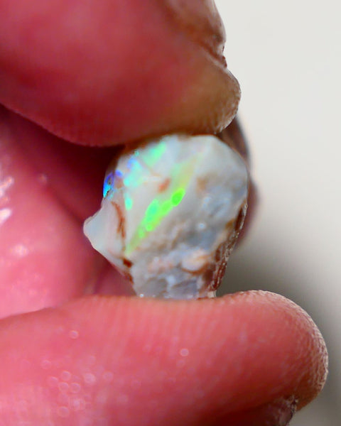 Lightning Ridge Rough Opal 12cts Grey base Seam opal with Bright colourful bar showing multicolours 19x11x10mm A1519