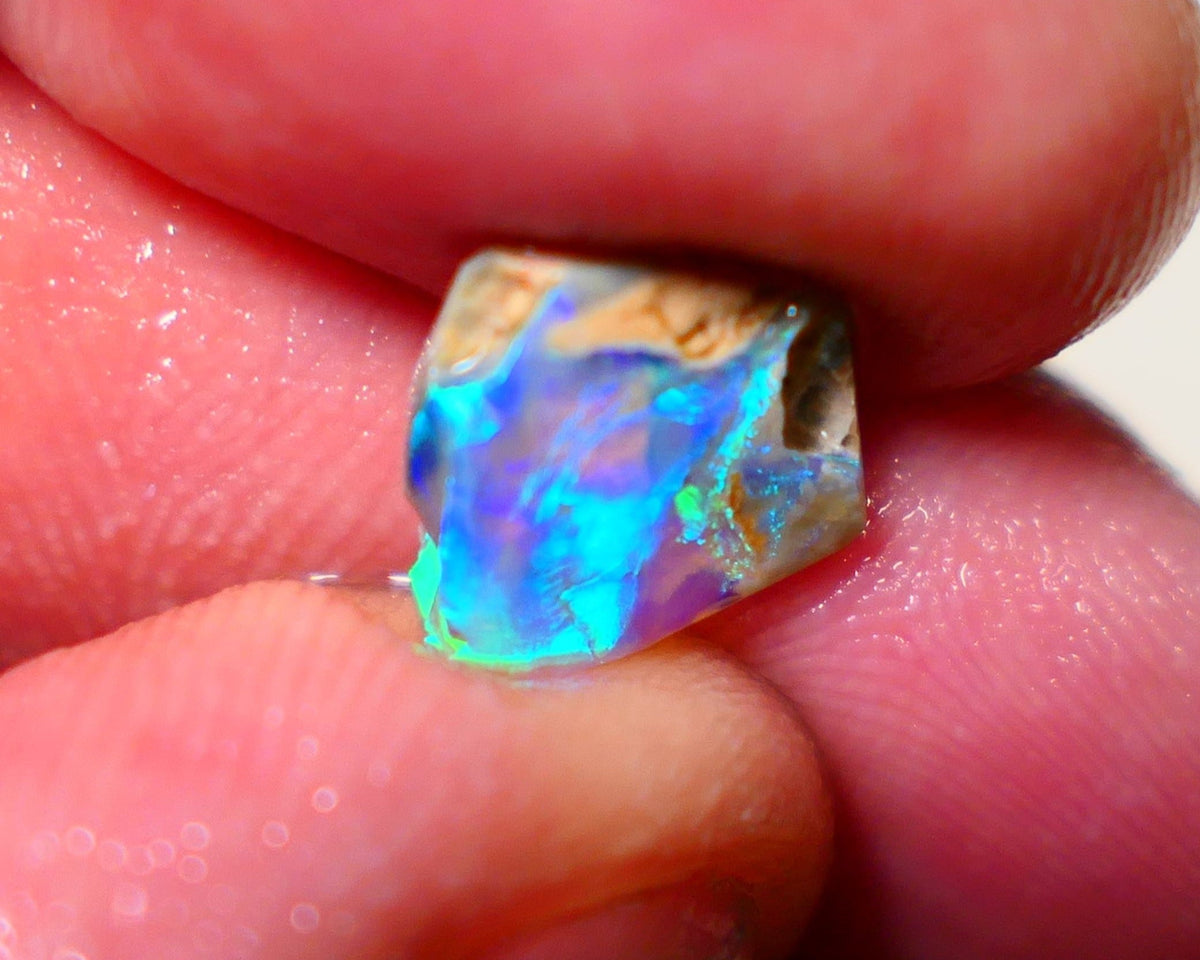 Opal Fever Mate Auction