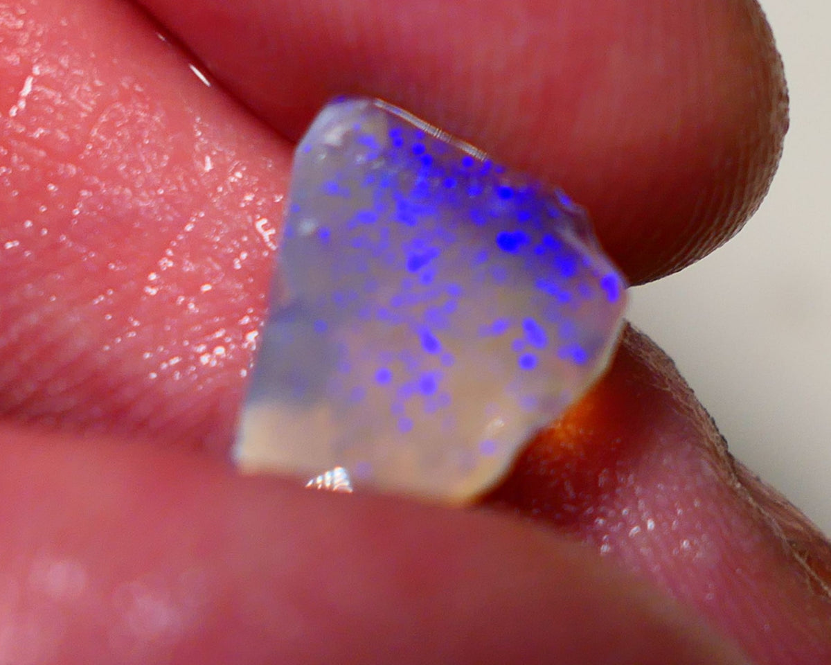 Lightning Ridge Opal Dark Crystal Base Seam Rough Rub 3.2cts Gorgeous Stunning Bright fires 14x12x4mm 1111