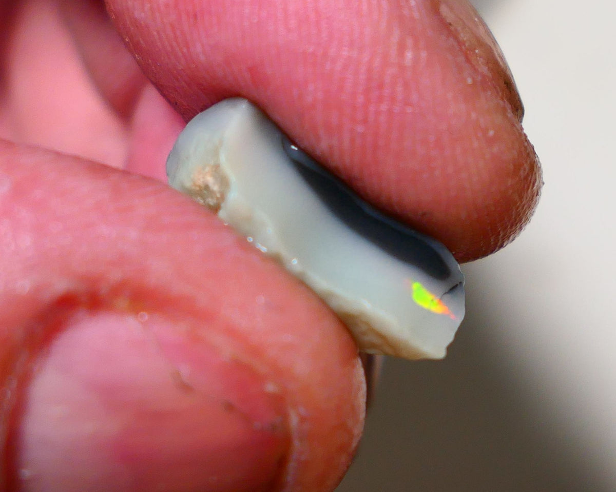 Lightning Ridge Rough Opal 7.00cts Grey base Seam opal with Bright colourful bar showing Small flash of Orange & yellow fires 18x11x6mm A1520