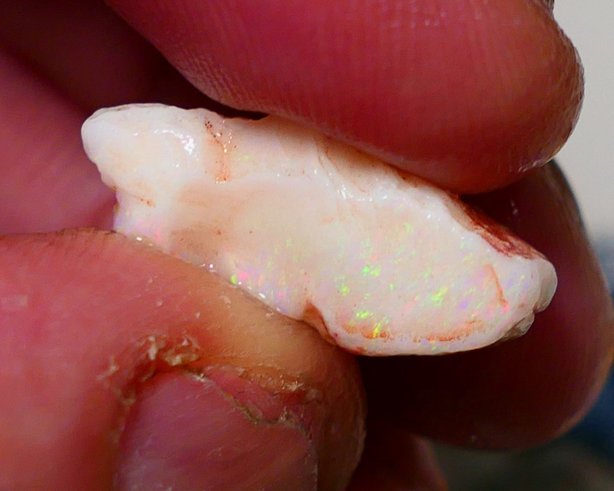 Coober Pedy Opal Rough Light base 13cts nice Multicolours showing 22x19x9mm 1110