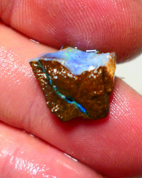 Queensland Boulder Boulder opal 6.5cts rough Winton gorgeous face with nice fires 15x14x6mm 1122