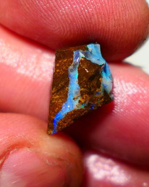 Queensland Boulder Boulder opal 7.00cts rough Winton gorgeous veins with nice fires 17x11x10mm 1123