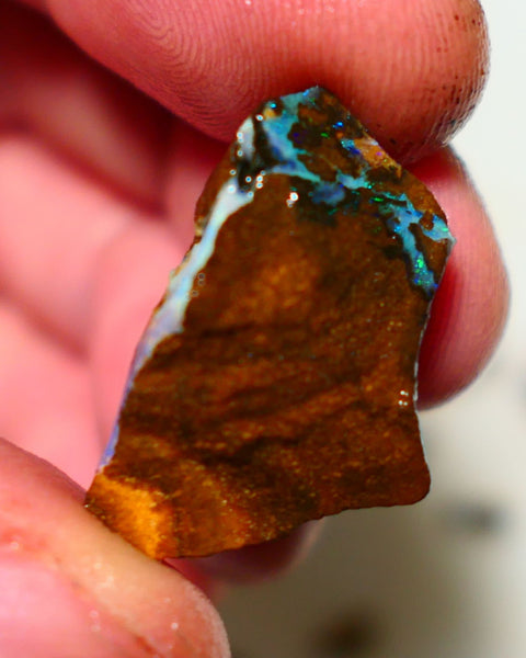 Queensland Boulder Boulder opal 21cts rough Winton gorgeous veins with nice fires 26x16x9mm 1124