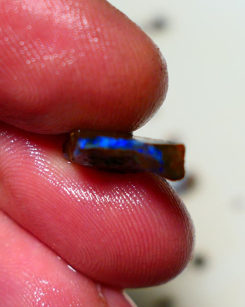 Queensland Boulder Boulder opal 4.15cts rough Winton gorgeous veins with nice fires 14x10x4mm 1125