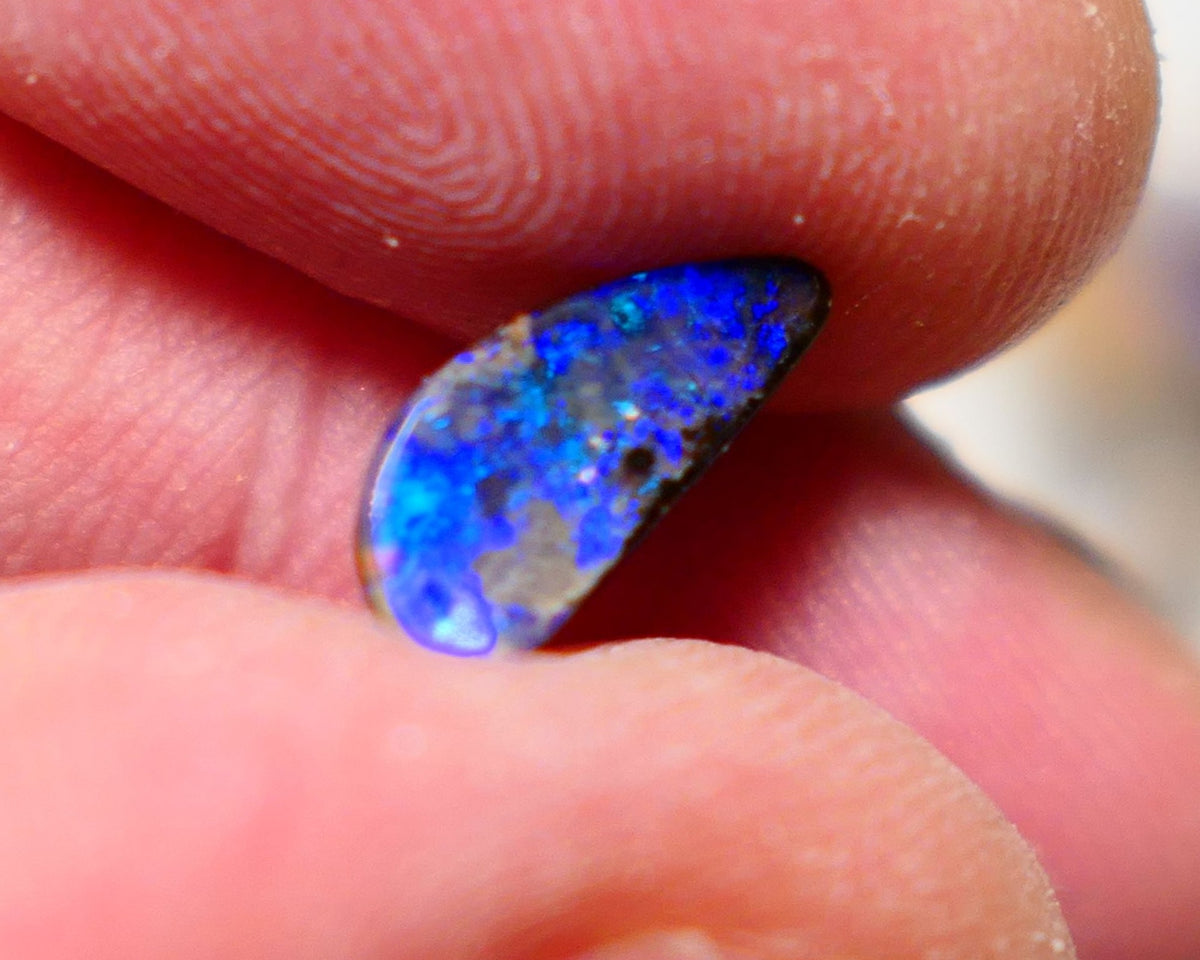 Australian Queensland Boulder opal Polished Gemstone 1.40cts Freeform cut Bright gorgeous blue fires From Winton  11x5x2.5mm A1518