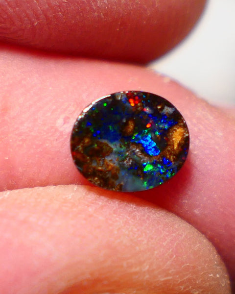 Australian Queensland Boulder opal Polished Gemstone 1.00cts Freeform Oval cut Bright Gorgeous multifires from Winton 7x9x2mm BO-011