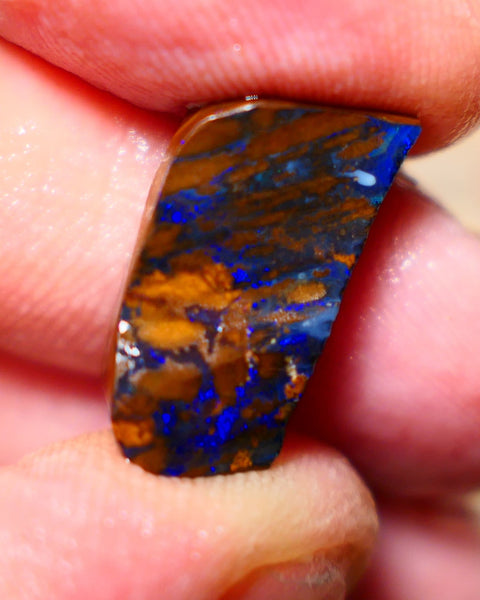 Queensland Boulder Boulder opal 15cts rough Winton gorgeous veins lots nice Bright Blue fires 18x10x7mm BO001