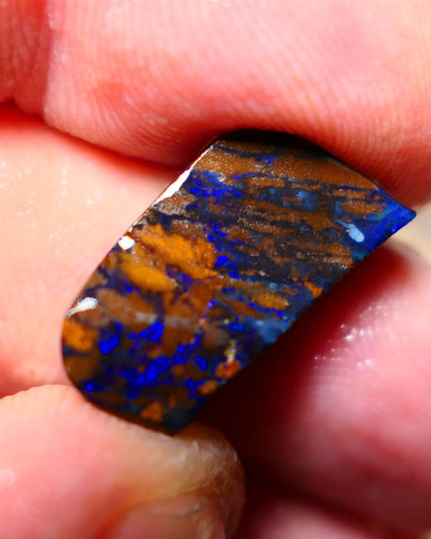 Queensland Boulder Boulder opal 15cts rough Winton gorgeous veins lots nice Bright Blue fires 18x10x7mm BO001