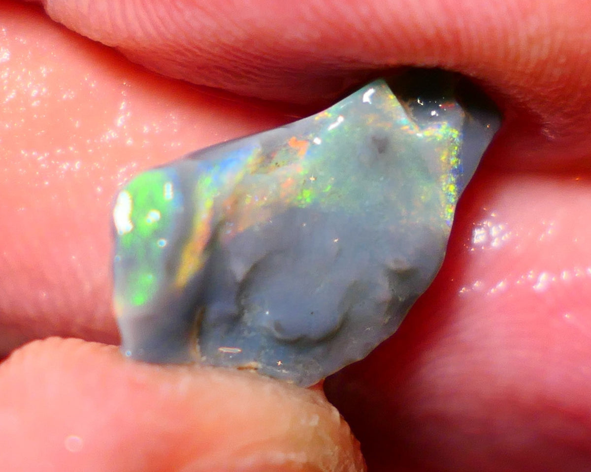 Mulga Rough Opal 3.65cts Stunning Dark Base Seam Bright Orange Dominant Multi colour fires to Cut / carve & polish 11x10x2.5mm 1138