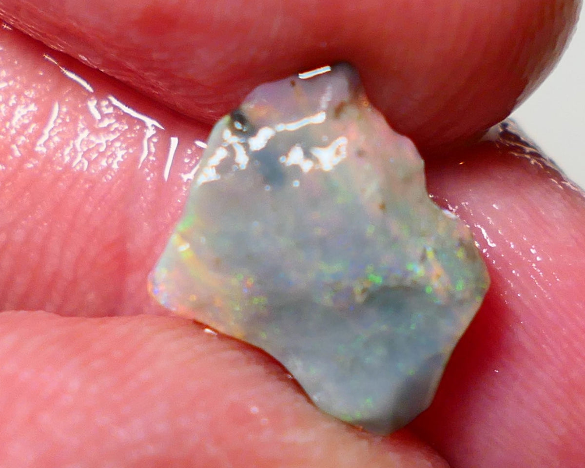 Mulga Rough Opal 2.00cts Stunning Dark Base Seam Orange/Pink Dominant Multi colour fires to Cut / carve & polish 11x10x2.5mm 1143