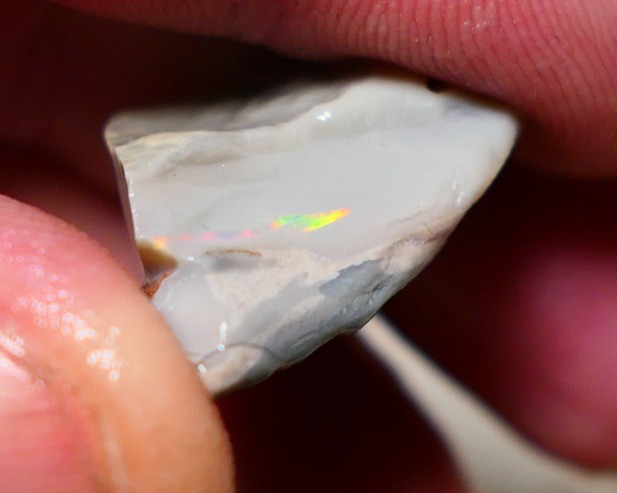 Lightning Ridge Rough Opal 23cts Gamble Big Dark Base seam showing Yellow/orange/blue scattered bar 27x16x10mm 1147