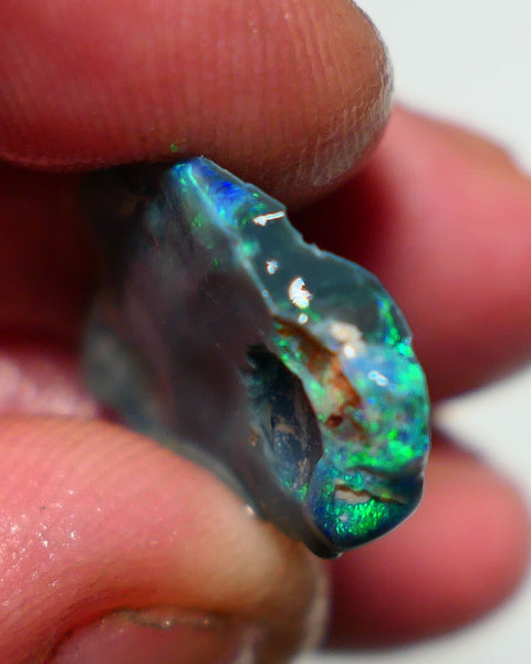 Lightning Ridge Black Rough Opal 10cts Gamble showing some Bright Green & blue fires 24x15x4mm 1330