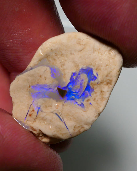 Lightning Ridge Rough Opal 21cts Formation showing Very gorgeous Blues 29x19x9mm 1201