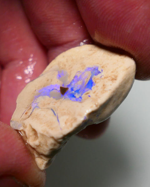 Lightning Ridge Rough Opal 21cts Formation showing Very gorgeous Blues 29x19x9mm 1201