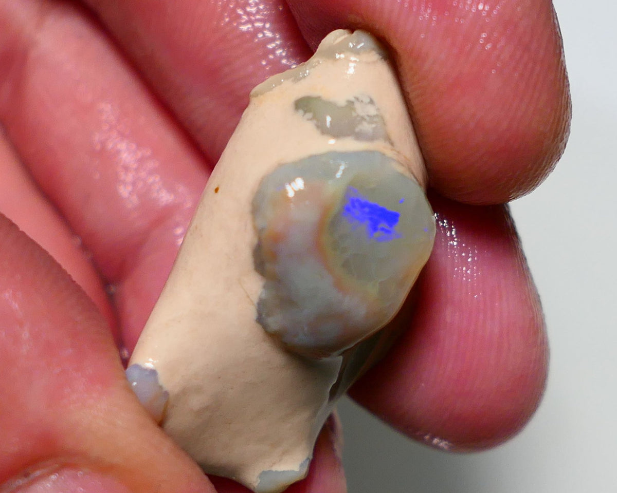 Lightning Ridge Rough Opal 38cts Crystal knobby opal formation showing some colours 30x20x15mm 1408