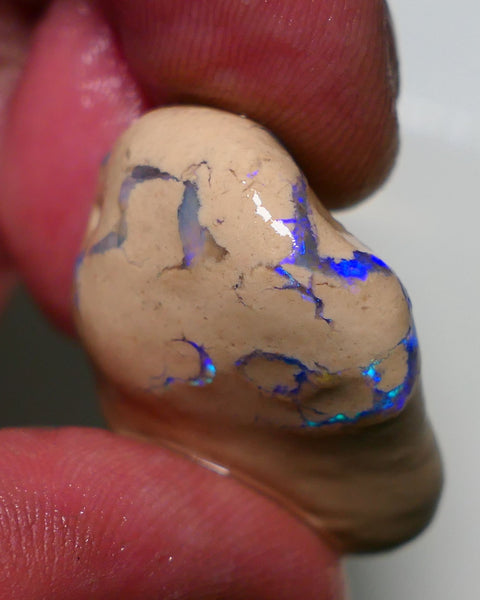 Lightning Ridge Rough Opal 58cts Formation showing Exotic Very Bright Blues 32x24x14mm 1203