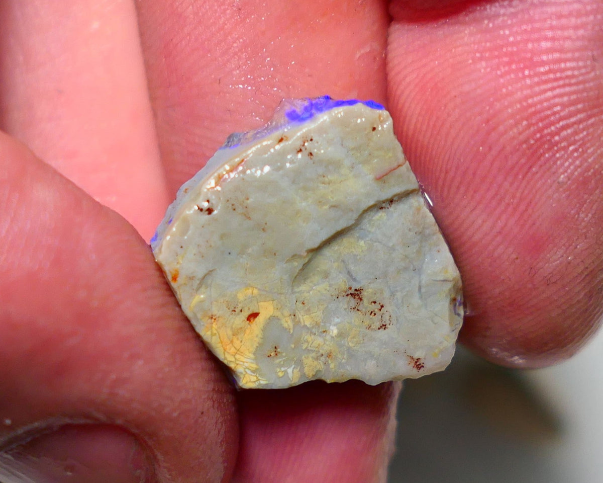 Lightning Ridge Rough Opal 10.75cts Dark Crystal Seam showing lots Blue colours 17x20x4.2mm 1308