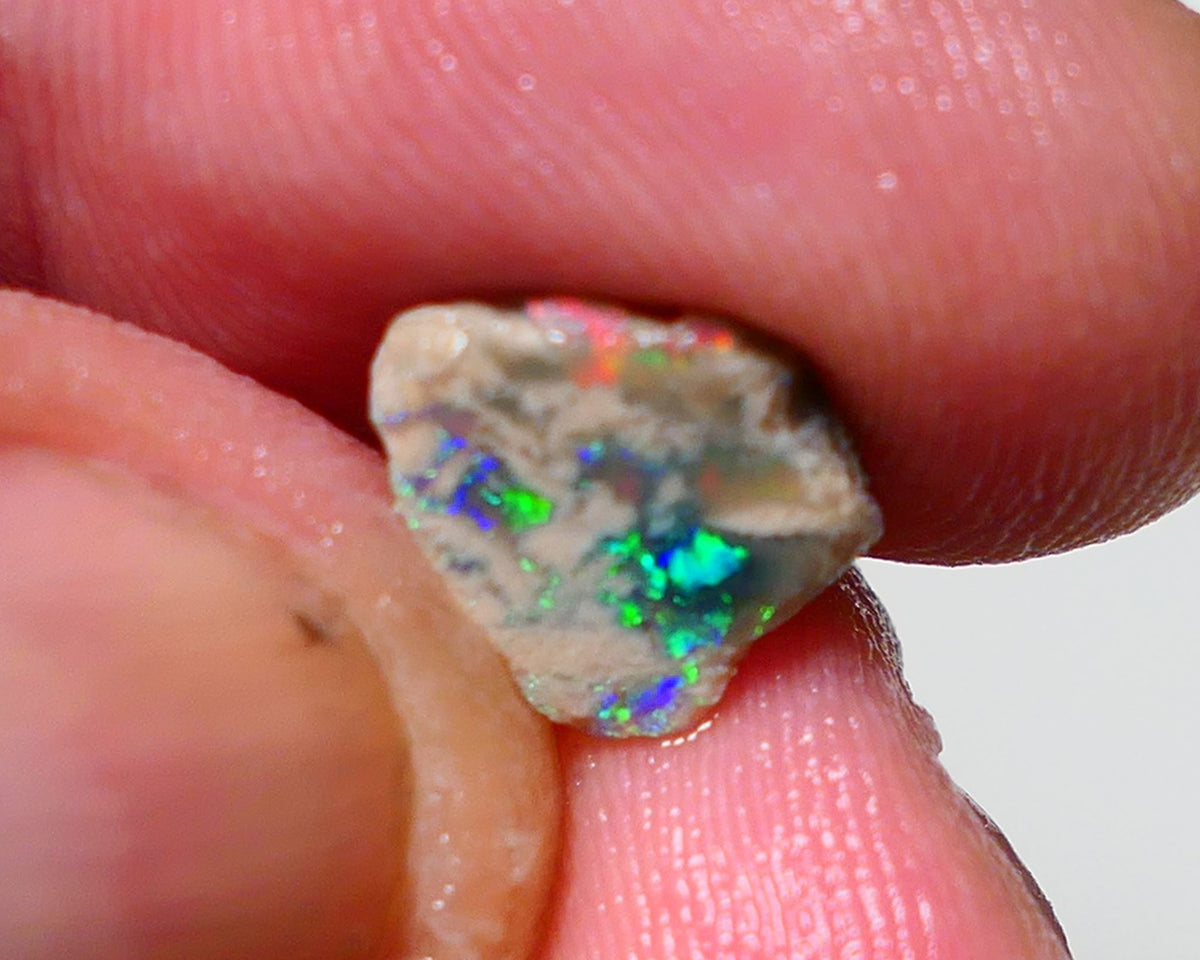 Lightning Ridge Opal Dark Base Crystal Knobby Rough Rub 2.50cts Stunning Bright Multi Colours 10x9x6mm 1304