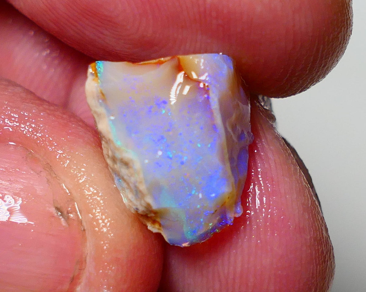 Lightning Ridge Rough Opal 7.50cts Crystal Seam Piece showing nice Bright Blue colours 14x11x9mm 1306