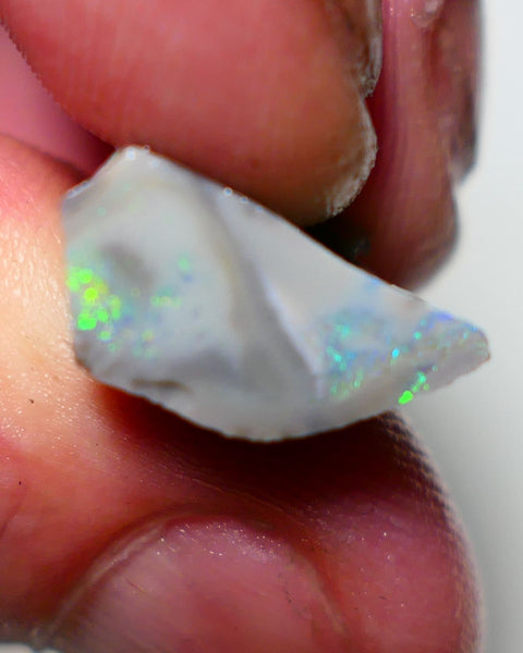 Lightning Ridge Rough Opal 8cts Dark Seam showing nice multicolours in warped colour bar 16x15x7mm 1322