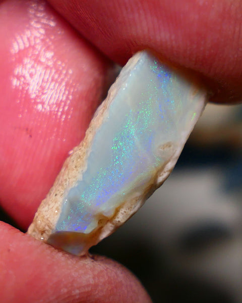 Lightning Ridge Rough Opal 9.75cts Dark Crystal Seam showing nice multicolours in flat thick bar 24x9x8mm 1328