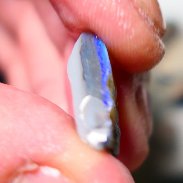 Lightning Ridge Rough Opal 8.75cts Half a dark base knobby opal showing lots blues colours 19x13x6mm 1407