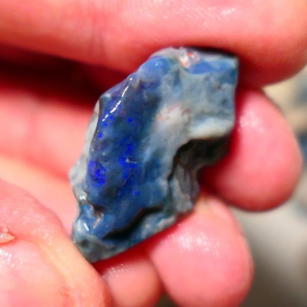 Lightning Ridge Rough Opal 28cts Big Dark Seam showing some nice blues 33x20x9mm 1406