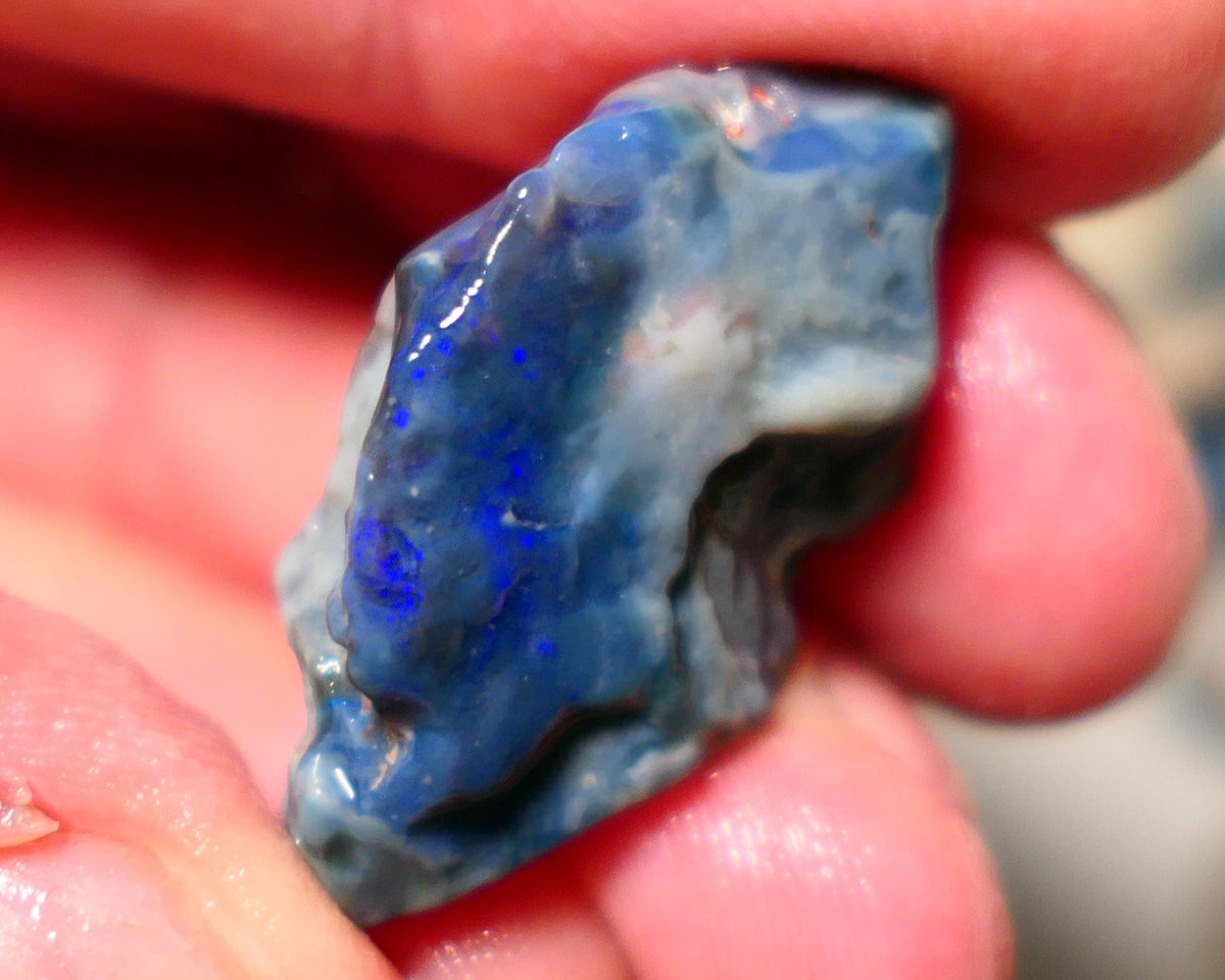 Lightning Ridge Rough Opal 28cts Big Dark Seam showing some nice blues 33x20x9mm 1406