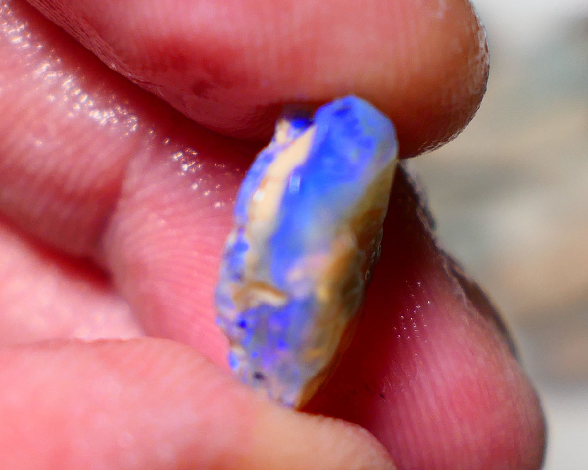 Lightning Ridge Rough Opal 6cts Crystal Seam formation showing lots of blues 15x12x6mm 1405